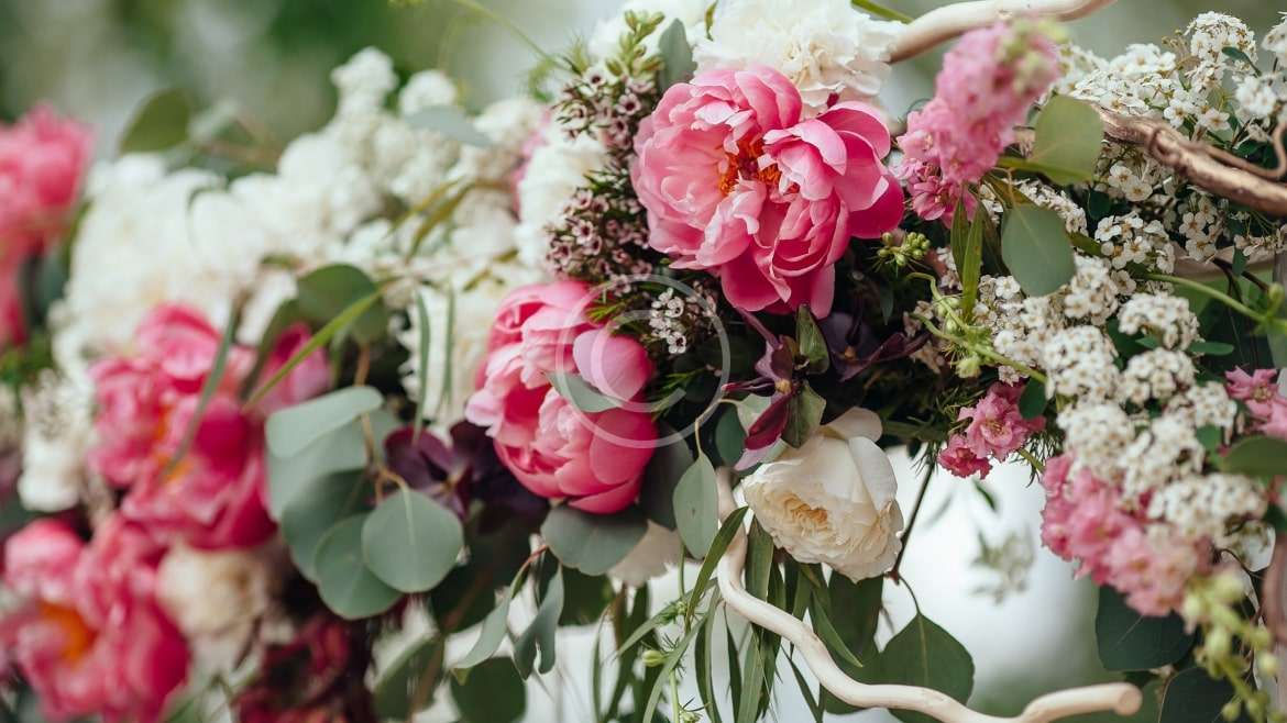 Connect with the best vendor